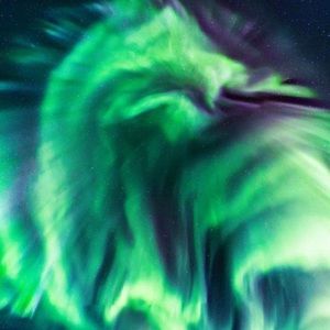 Meet your Posher, Bella